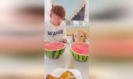 每日大赛 吃瓜网官网免费观看,吃瓜网官网免费畅享